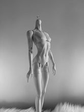 Abidoll 1/4 unisex bjd body