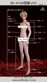 DF-H 68cm uncle BJD body