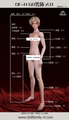 DF-H 68cm uncle BJD body