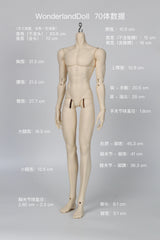 WonderlandDoll 70cm BJD body