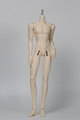 WonderlandDoll 70cm BJD body