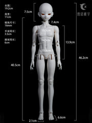YZdoll 1/4 bjd head nude doll YanSi