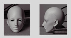 Abidoll 72cm BJD head body DingMi