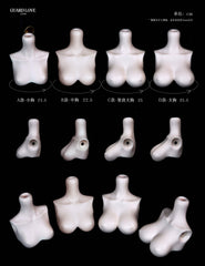 Guard-Love 1/3 BJD body