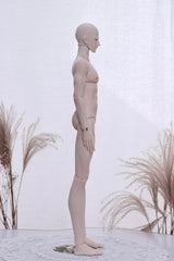 Telesthesiadoll 1/4 bjd body male uncle代购