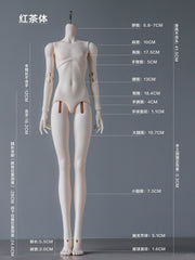 QiangSheng 1/4 black tea BJD male body