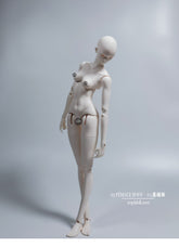 ImplDoll 65cm female BJD body仅代购