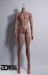 2Ddoll 75cm thin muscle two-segment BJD body