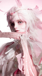 XAGADOLL 1/4 full set Floris with constellation body