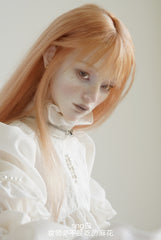 JoyDoll 1/3 BJD head Lai