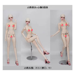 2Ddoll 63cm female body for 1/3 bjd head
