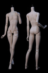 KDL 1/3 BJD angel body
