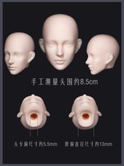 Mu's Doll 1/6 鲛 bjd head Jiao