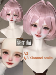 QianQian 1/4 1/3 BJD heads with faceup ready stocks