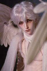 JR 75cm BJD head Reid