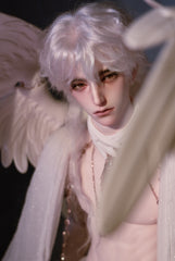 JR 75cm BJD head Reid