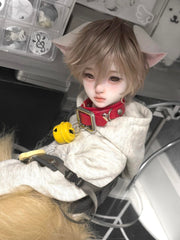 Miilkoo Doll 1/4 BJD head ChunLian & LinCi