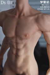 DreamStar 1/4 male Silicone body