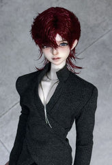 Acatbo 1/4 bjd head ShouYi & FeiEr