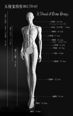 Element_Q 76cm bjd Angel body for Little Dog