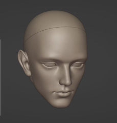 TheDreamWalker 75cm BJD head Draco Malfoy