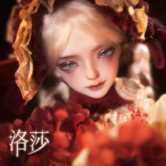 DollZone 1/4 Rosa bjd full set