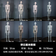 SOII 1/4 BJD head TingYun