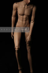 Asai special 1/4 bjd body 46cm limited discount