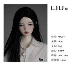 FANFF HAI|YUE|LIU|LIN 1/3 BJD Head