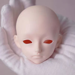 Fatemoons 1/4 LAN bjd head