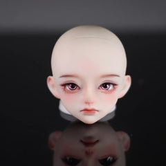 Fatemoons 1/4 LAN bjd head