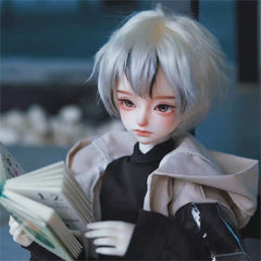 Fatemoons 1/4 LAN bjd head