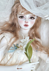 GalanteDoll 1/3 BJD Head Ali