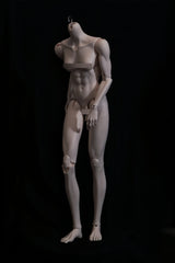 DevotionDoll Vigorous75 muscle female bjd Body