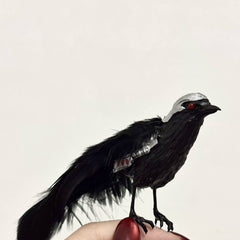 Wolf Sylus BJD Mephisto代购