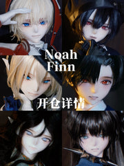 SOII 1/4 BJD head Noah & Finn