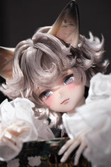 DollZone 1/4 bjd XiaoLiang & XiaoSen