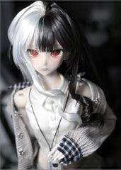 RDAC 1/4 bjd head Neville