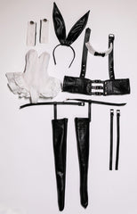 BIA 1/4 1/3 68-77cm BJD outfits Bunny Girl 3.0