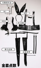 BIA 1/4 1/3 68-77cm BJD outfits Bunny Girl 3.0