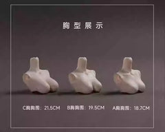 DollZone special 1/4 bjd female cat body 43cm