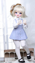 ShouShouDoll 1/4 Rabbit Bean body only