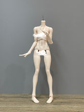 Sprouting Dragon 1/4 bjd ZiLi female body full set