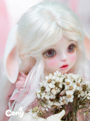 TrueCom 1/6 BJD Head Cony