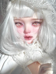 WeiWei 1/4 BJD head Camille