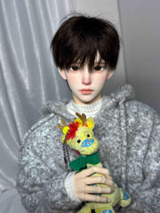 ValleyDoll 75cm BJD head Elio