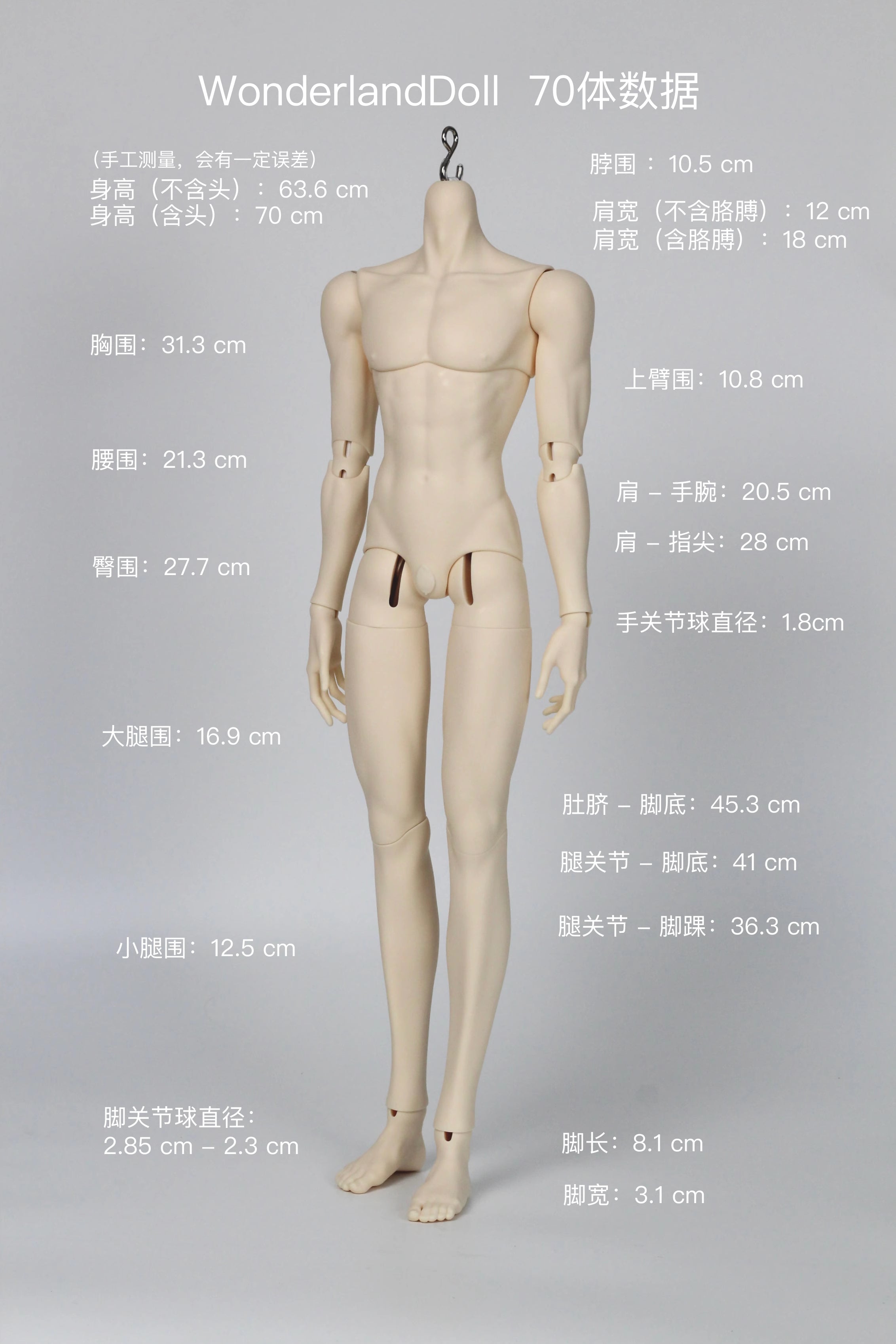 WonderlandDoll 70cm BJD body