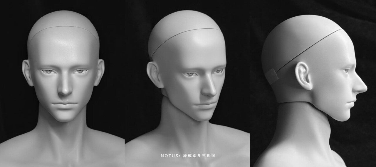 SHUDoll 75cm BJD head Notus