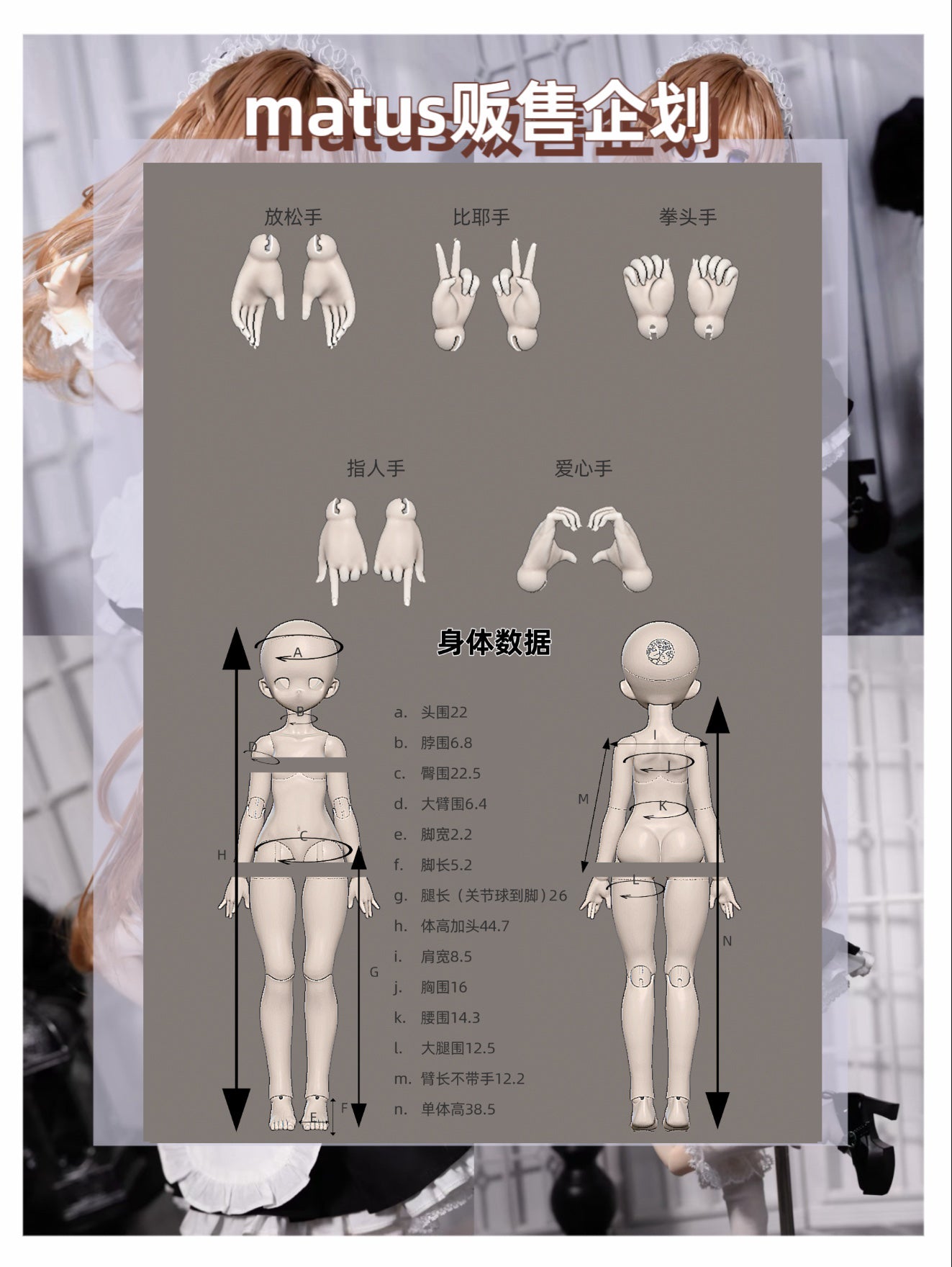 SSpine 1/4 BJD full set Matus