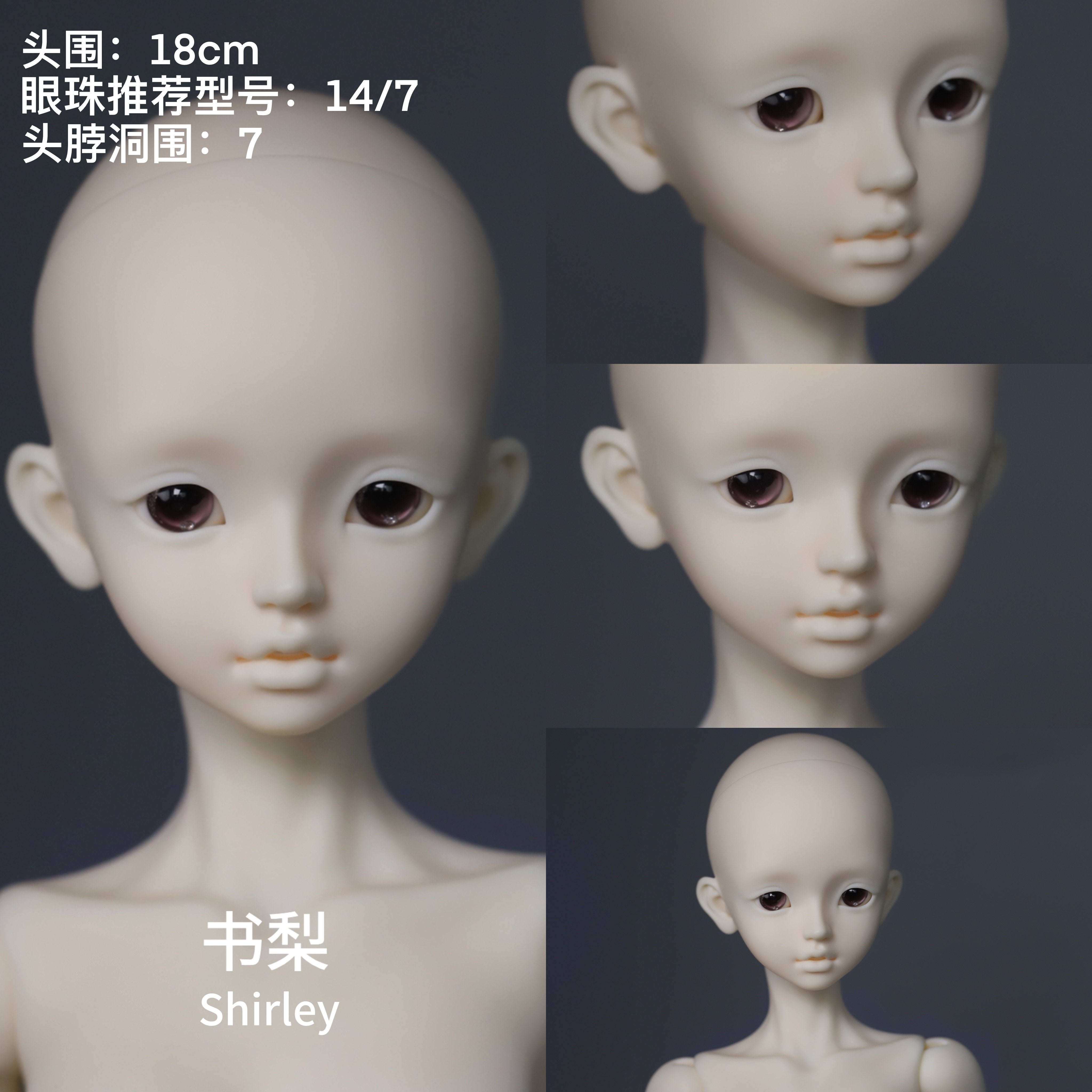 LaLunaDoll 1/4 BJD head Shirley & Molly